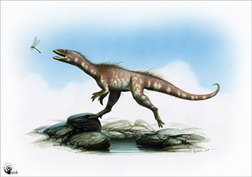 A reconstruction of how the dinosaur could have looked.